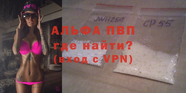 прущие грибы Красноперекопск