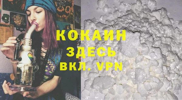 прущие грибы Красноперекопск