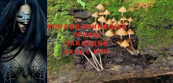 прущие грибы Красноперекопск