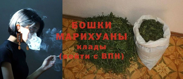 ALPHA PVP Краснослободск