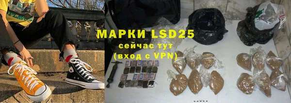 прущие грибы Красноперекопск